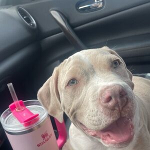 Meet your Posher, Jo